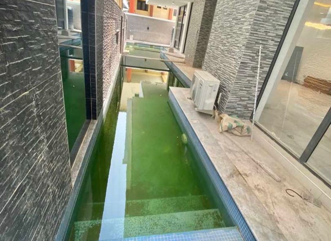 Incredible Homes